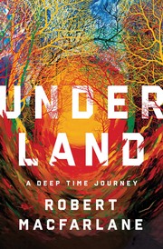 Book cover of Underland